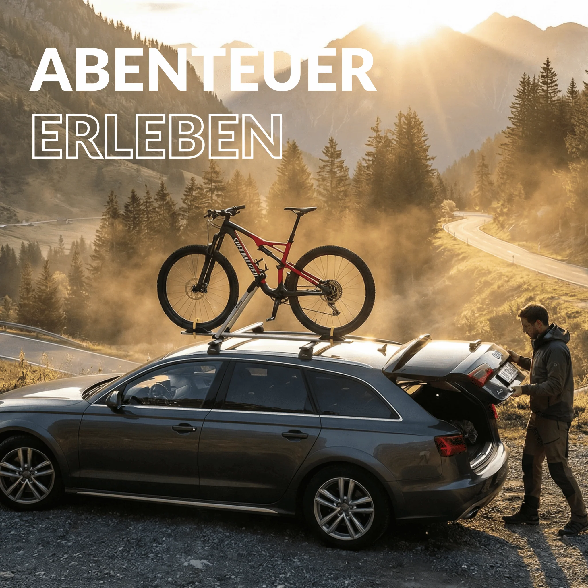 OWEN® Dachfahrradträger - Image 3